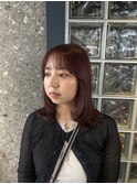 カシスバイオレット