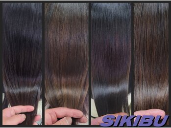 SIKIBU　FUKUYAMA【シキブ　フクヤマ】