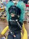 ヘアセットアップス(UP's)の写真/【新宿☆カジュアルなのに差が付くstyle】可愛い×安い!周りと被らない推し活ヘアアレンジを豊富にご用意♪