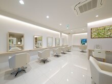 カペリベラ 寝屋川店(Capelli Bella)
