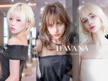 イルハバナ 渋谷(ill HAVANA)の写真