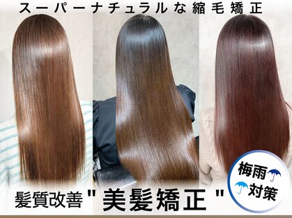 モイ(moy)の写真