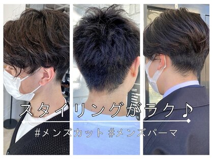 イン(in.)の写真