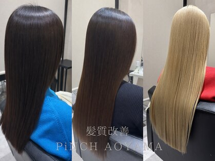 ドッグマニアピンチアオヤマ(DOGMANIA PiNCH AOYAMA)の写真