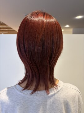 ダブルカラー,レッドブラウン,ブリーチ,ウルフレイヤー【草加】