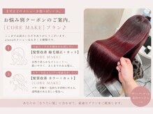 まずはどのメニューを選べばいいか。お悩み別クーポンのご案内。［CORE MAKE］プラン♪
