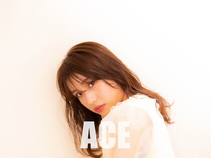 エース(ACE)の写真