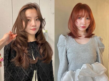 フェブ(fev)の写真