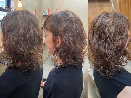 リラ(Lilas)の写真