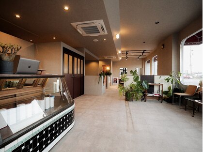 コット(COTTO)の写真
