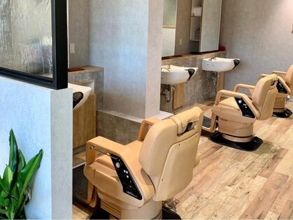 コーディー(Kody)の写真