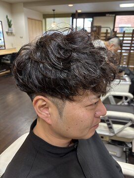 マモル(MAMORU) スペインカール