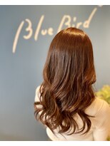 ブルーバード(Blue Bird) ラフウェーブ魅力倍増カール