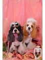 マーメイドヘアー(mermaid hair)&nbsp;愛犬☆アメリカンコッカースパニエル★2匹とも男の子です(^^)