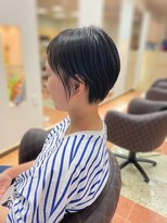 アルファレイズ ヘア ユニット(alphareiz hair unit) ツヤとまとまり抜群！コンパクトショート