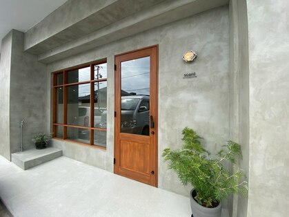 セント(scent)の写真