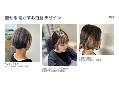 ロッティ(lotti)の写真