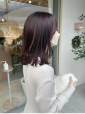 ピンクラベンダー