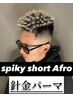 【針金パーマ】スパイキーショートアフロ　￥25000