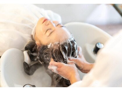 サッコウ(sakkou)の写真