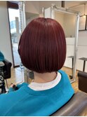 ミニボブ＋ピンクカラー【犬山良慈】