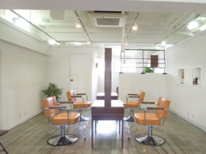 フォグ(fog)の写真