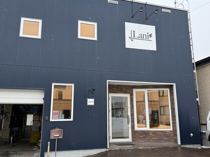 ラニ(Lani)の写真
