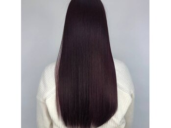 Papillon Rose【パピヨン　ロゼ】