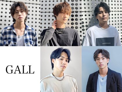 ガル(GALL)の写真