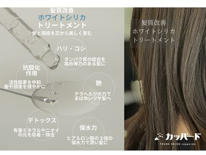 トランクサロンカッパードの写真