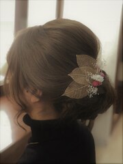 Elegant hairstyle **