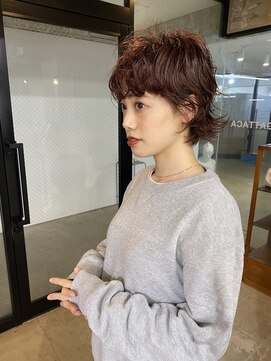 ガタカ(GATTACA) apricot perm.