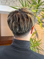 ルシードスタイル プルス(PLUS) メンズハイライト