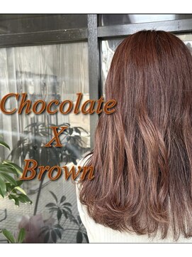 ネリネ(Nerine) ショコラブラウン