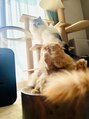 ヘアーサロン カシータ(Hair Salon CASITA) うちの可愛い2匹のねこ