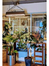 サウスバイオリバヘア(SOUTH by OLIBAHAIR)&nbsp;OLIBA HAIR