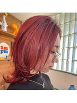 ネオ ディスカス(Neo Discus)&nbsp;チェリーレッド