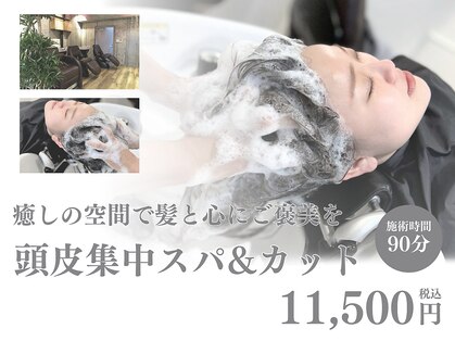 トット(tot.)の写真