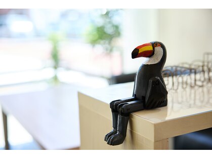 パーチ(perch)の写真
