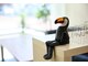 パーチ(perch)の写真