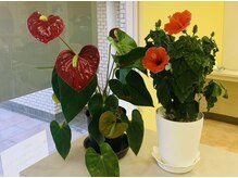 あなたの髪のお悩み、ぜひお聞かせください！