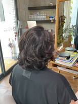 ソルエテラ(sol ea terra)&nbsp;ヘナ2度染め