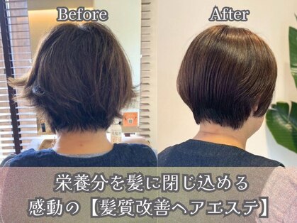 アミーベル クレール(AMI a BELLE Clair)の写真