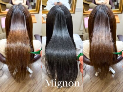 ミニョン(Mignon)の写真