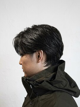 ヘアークリエイ トポライトウィロー 烏丸(Hair Create Polite willow) ハンサムショート