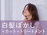 新規｜【脱白髪染め】カット+白髪ぼかしハイライト+Tr(40%off)￥24,420→