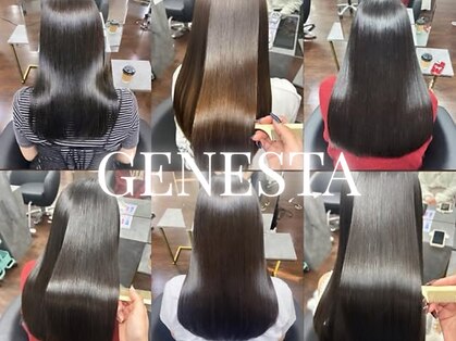 ジェネスタ(GENESTA)の写真