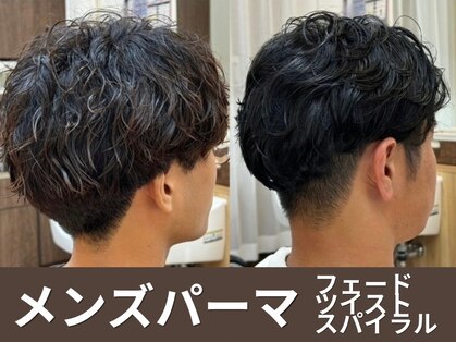 シノン(si-non)の写真