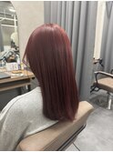 ボルドーカラー