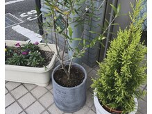 マリル mariru ヘアーサロンの雰囲気（緑に囲まれ、心も体も癒される自然豊かなサロンです。）